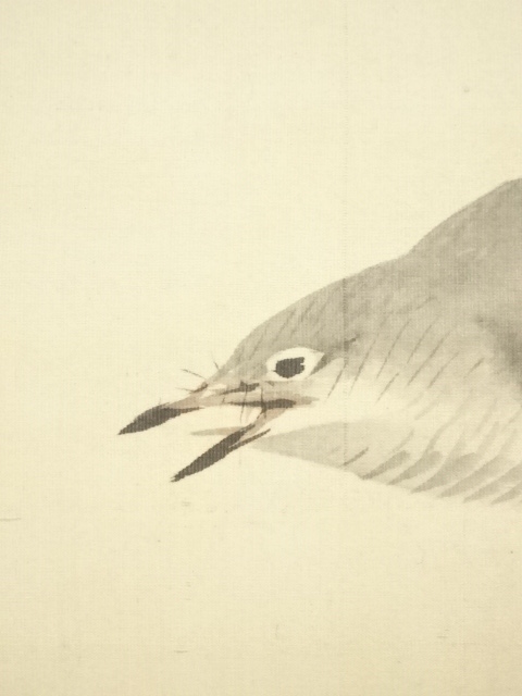 掛軸 小田海僊 絹本 花水鳥図／肉筆 付箱 A1157